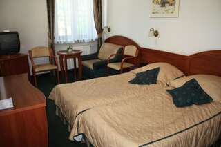 Отель Hotel Saol Крыница-Здруй Двухместный номер с 1 кроватью или 2 отдельными кроватями-4